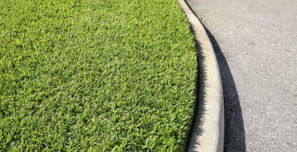 Cost of Street Curb Repair in Greenwood