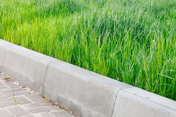 Concrete Curb Repair in Greenwood