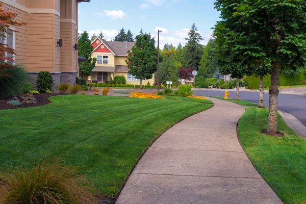 Sidewalk Patching in Greenwood